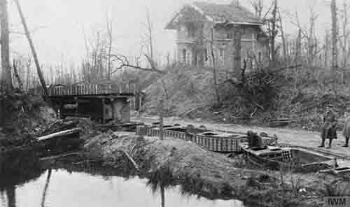 <p>The carnage in Bourlon Wood after the Battle of Cambrai November 1917